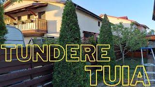 Thuja Smaragd (Tuia) - Tundere pentru crestere si formare cu nea Valerica