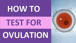 How to Take an Ovulation Test (Clearblue) for Pregnancy | Ovulation Symptoms & Test Kit
