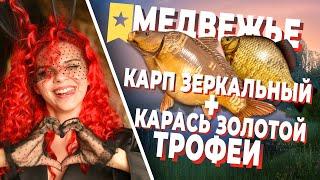 ТРОФЕЙНЫЙ Карп зеркальный + Карась золотой | Озеро МЕДВЕЖЬЕ | Русская Рыбалка 4 