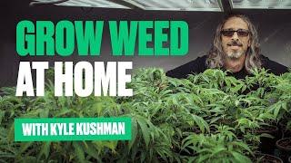 Kyle Kushman - Insane Home Grow Cannabis Tour!!! - Legendary Cannabis Cultivator #1