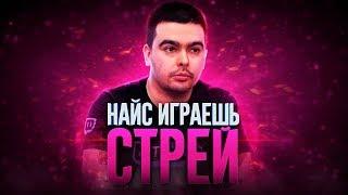 НАЙС ИГРАЕШЬ - СТРЕЙ | STRAY228