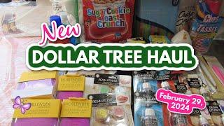 NEW DOLLAR TREE HAUL!  New Craft Finds!  February 29, 2024