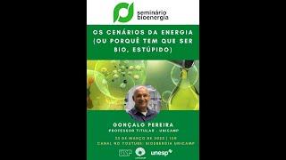 Os cenários da energia (ou porquê tem que ser bio, estúpido)