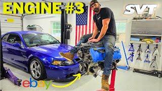 I Had To Buy ANOTHER Engine For My Not-So-Cheap SVT Cobra (Things are not great)