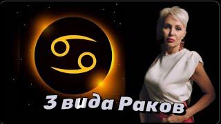 3 Вида Раков! Притворщик, Истерик и Фантазер! #рак #гороскопрак #ракгороскоп #астролог #астрология