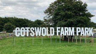 My visit to Cotswold farm park with my cousins