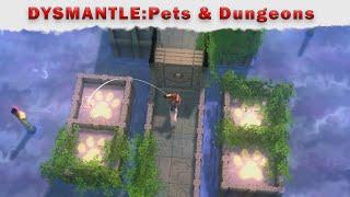 DYSMANTLE: Pets & Dungeons  Домашние питомцы