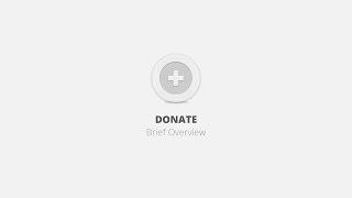 Donate WordPress Plugin - Brief Overview