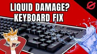 KEYBOARD LIQUID DAMAGE? | HERE IS HOW TO SAVE IT