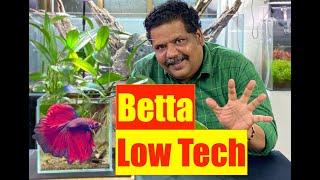 Low tech Betta Tank | No Water Changes (Low Tech Aquascape Tutorial) Mayur Dev Aquascaper  4K