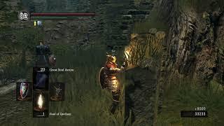 Dark Souls - Infinite Souls Glitch (unlimited Souls) Still Working 2021 (Guide in Description)