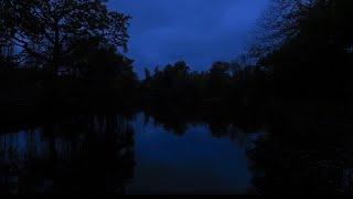 10 Часов ночное озеро в лесу, звуки сверчков, крепкий и глубокий сон, от бессонницы
