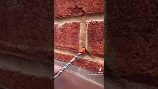 MASSIVE BRICKWORK ISSUES: NEW BUILD INSPECTION