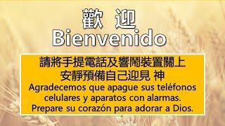 巴拿馬基督教華人教會西文崇拜 Servicio Dominical Hispano de la Iglesia Evangélica China de Panamá 8-09-2024