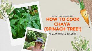 How to cook Chaya, the Spinach Tree