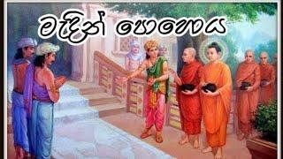 මැදින් පොහොයේ වැදගත්කම.madin pohoya wadagatkama‍️