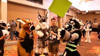 Fursuiting Fun at BLFC 2016 - Kijani Lion Productions