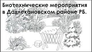 Биотехнические мероприятия в Давлекановском районе РБ