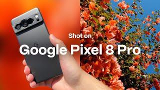 Shot On Google Pixel 8 Pro | 4K Footage