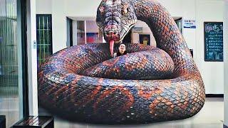 Гигантская мутировавшая змея нападает на школу для девочек, чтобы съесть хорошеньких моделей