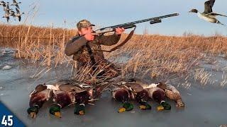 Pintail LIMITS Over an ICE HOLE! | 28 Gauge Duck Hunting