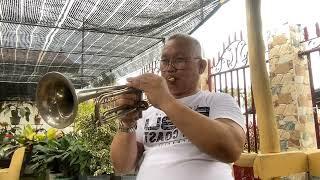 REFLECTION  - Mulan  (Trumpet) cover