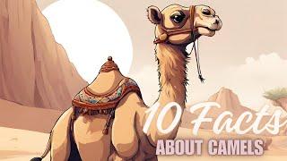 10 Amazing Camel Facts: Journeying Through the Desert with Info Safari Kids