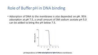 Gel Extraction : Principle, Procedure & Tips for Improved Yield