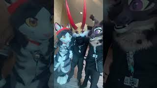 itz Shalom - Meeting @sorrsky & @phelixthecat #furry #fursuit #fursuitpartial #furryconvention