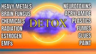 BRAIN DETOX 🟣  Binaural Beats RIFE Frequencies Isochronic Tones Delta Waves I The Sound Healers