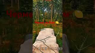 #dayz В Реале за пару Лямов Прикол #дейз #pvp #shorts #приколы