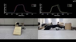 Environmental Adaptability of Legged Robots with Cutaneous Inflation and Sensation