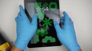 iPad 9th A2602 Retina Screen Replacement