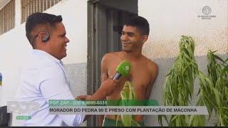 HOMEM É PRESO COM PLANTAÇÃO DE MACONHA EM CUIABÁ 🪴 Arthur Garcia