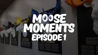 Moose Moments: Episode 1