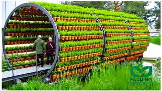 Process of growing fresh vegetables on Water | Floating hydroponic vegetables Farming