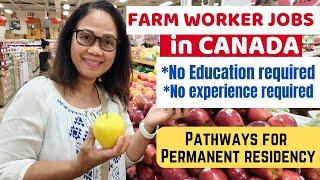 WORK AS FARM WORKER IN CANADA AND BECOME PERMANENT RESIDENT #lifeincanada  #buhaycanada