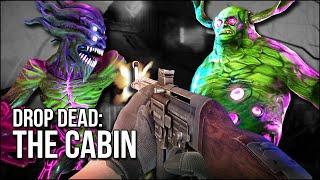 Drop Dead: The Cabin | A Tense, Difficult Shooter Built For Two!