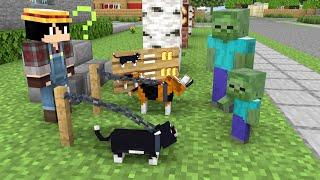 Monster School : BABY ZOMBIE BOUGHT AN EVIL CAT - Minecraft Animation