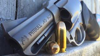 Charter Arms Pitbull  Revolver in .45 ACP Review