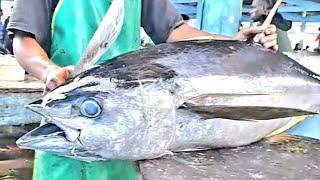 live 14 Juli 2024 ◆◆◆ Pemotongan Tuna Segar  || Tuna Cutting Fresh