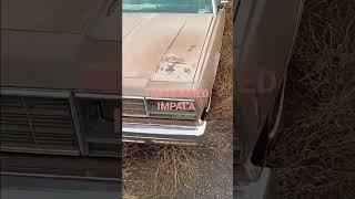 WHO ABANDONED THIS CHEVY IMPALA SMH #like #subscribe #share #car