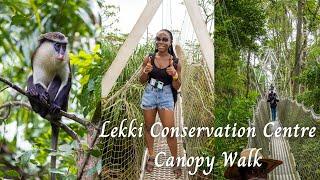 Lekki Conservation Centre Canopy Walk - The Longest Canopy Walkway in Africa?