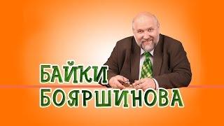 Тиктаалик – предок тетрапод