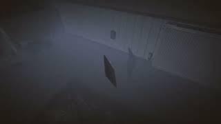 Object Bouncing Glitch | Phasmophobia #clips