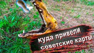 ️ КУДА МОГУТ ПРИВЕСТИ КАРТЫ СССР ! МЕТАЛЛОКОП / КОП МЕТАЛЛА #коп #металл #видео