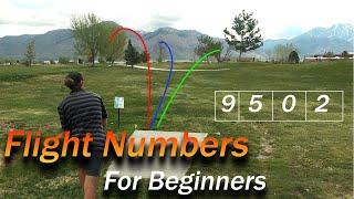 Disc Golf flight numbers for beginners