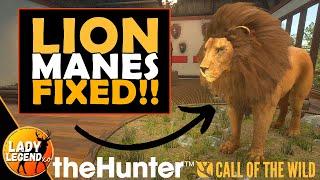 HOTSPOTS & Other BIG CHANGES in Vurhonga Savanna - UPDATE 2022 - Call of the Wild