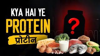 What is PROTEIN? Is protein SAFE? How protein helps in WEIGHT LOSS. (All Questions Answered)