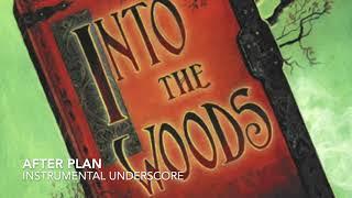 After Plan - Into the Woods - Instrumental Underscore